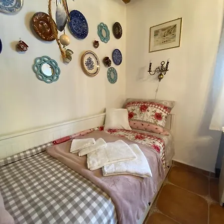 Lavender * Balatongyörök