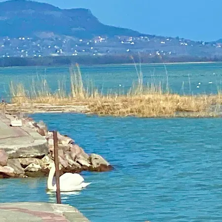 Lavender * Balatongyörök