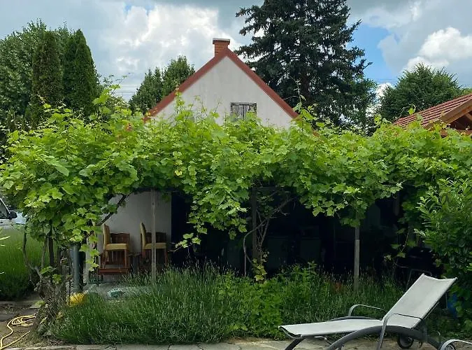 Lavender Balatongyörök