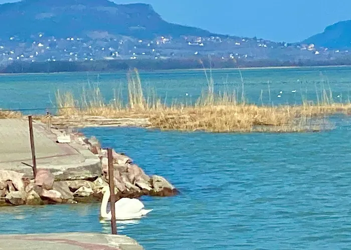 Lavender * Balatongyörök